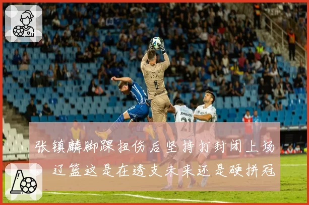 张镇麟脚踝扭伤后坚持打封闭上场,辽篮这是在透支未来还是硬拼冠军?