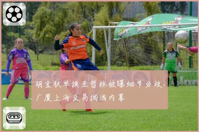 胡金秋单换王哲林被曝细节分歧,广厦上海交易搁浅内幕