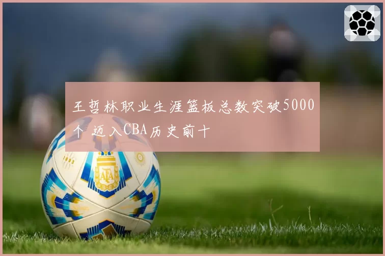 王哲林职业生涯篮板总数突破5000个 迈入CBA历史前十